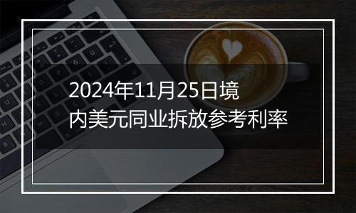 2024年11月25日境内美元同业拆放参考利率