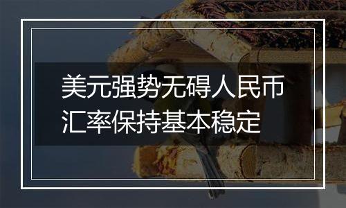 美元强势无碍人民币汇率保持基本稳定
