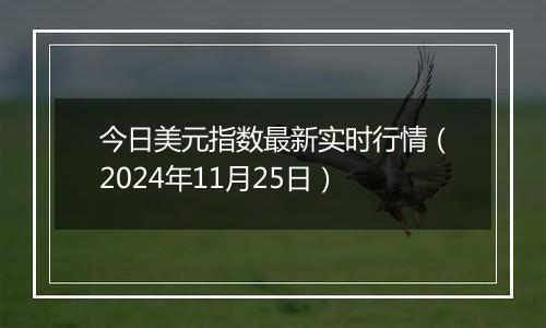 今日美元指数最新实时行情(2024年11月25日)