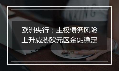 欧洲央行:主权债务风险上升威胁欧元区金融稳定