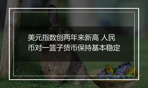 美元指数创两年来新高 人民币对一篮子货币保持基本稳定