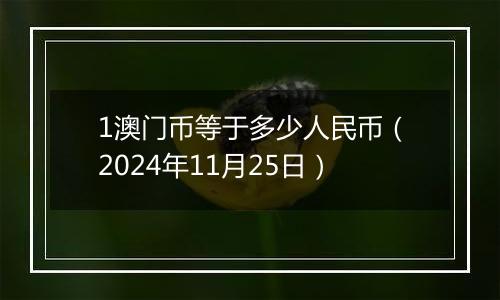 1澳门币等于多少人民币(2024年11月25日)