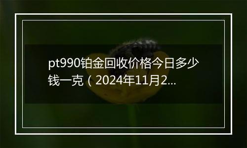 pt990铂金回收价格今日多少钱一克(2024年11月25日)