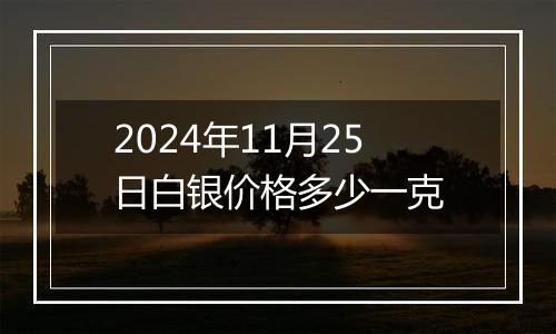 2024年11月25日白银价格多少一克