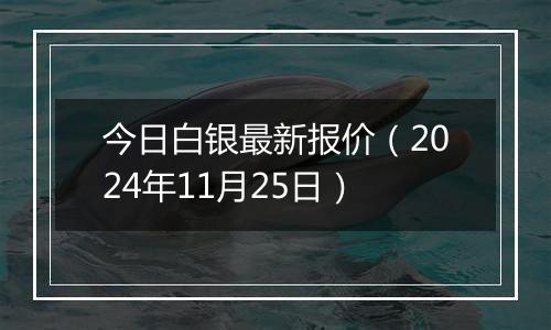 今日白银最新报价(2024年11月25日)
