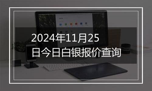 2024年11月25日今日白银报价查询