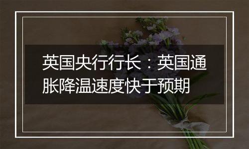 英国央行行长:英国通胀降温速度快于预期