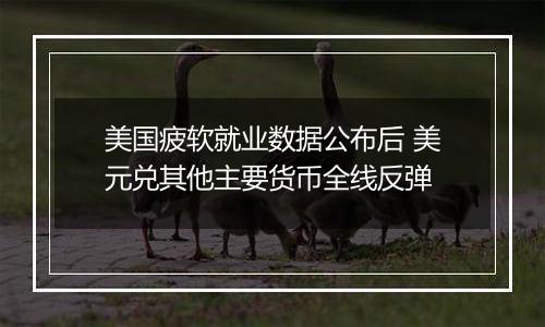 美国疲软就业数据公布后 美元兑其他主要货币全线反弹