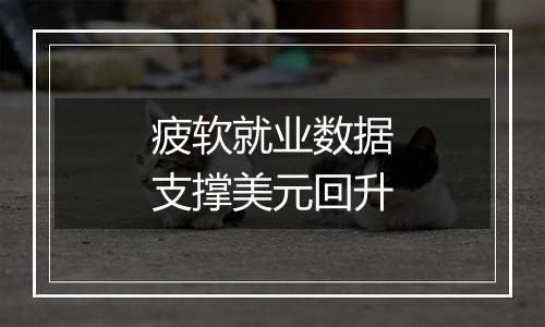疲软就业数据支撑美元回升