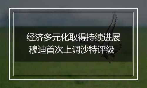 经济多元化取得持续进展 穆迪首次上调沙特评级