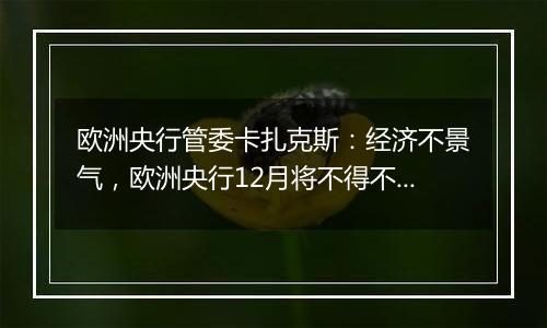 欧洲央行管委卡扎克斯：经济不景气，欧洲央行12月将不得不再次降息