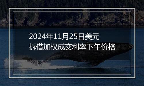 2024年11月25日美元拆借加权成交利率下午价格