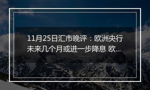 11月25日汇市晚评：欧洲央行未来几个月或进一步降息 欧元/美元在维持在1.0450上方