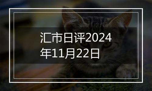 汇市日评2024年11月22日