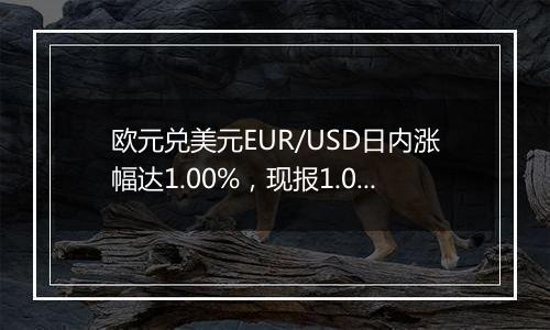 欧元兑美元EUR/USD日内涨幅达1.00%，现报1.0521