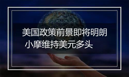 美国政策前景即将明朗 小摩维持美元多头