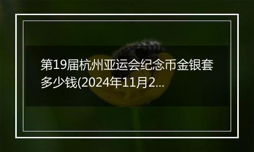 第19届杭州亚运会纪念币金银套多少钱(2024年11月26日)