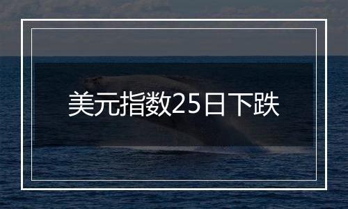 美元指数25日下跌
