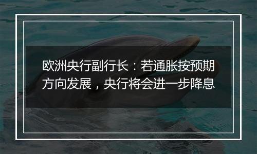 欧洲央行副行长:若通胀按预期方向发展,央行将会进一步降息
