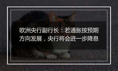 欧洲央行副行长:若通胀按预期方向发展,央行将会进一步降息