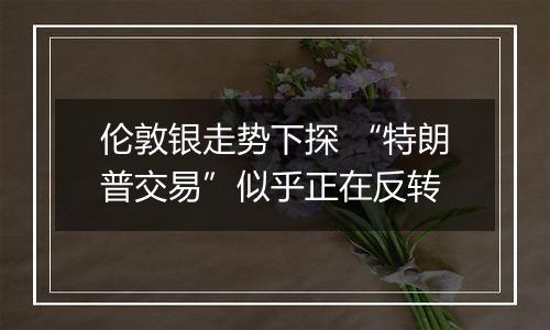 伦敦银走势下探 “特朗普交易”似乎正在反转