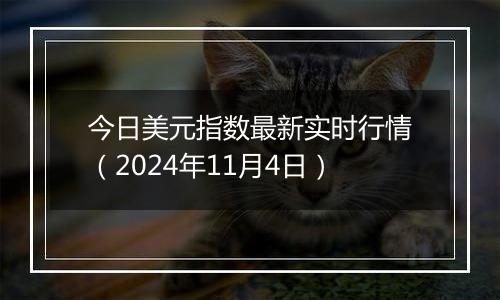 今日美元指数最新实时行情（2024年11月4日）