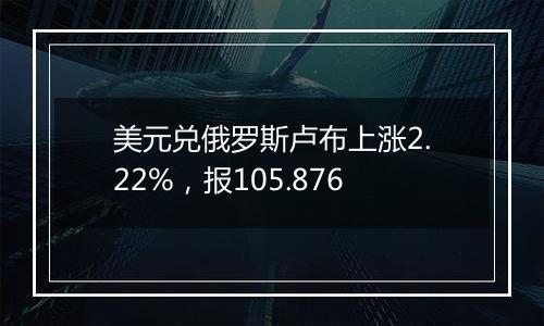 美元兑俄罗斯卢布上涨2.22%,报105.876