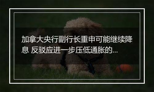 加拿大央行副行长重申可能继续降息 反驳应进一步压低通胀的观点