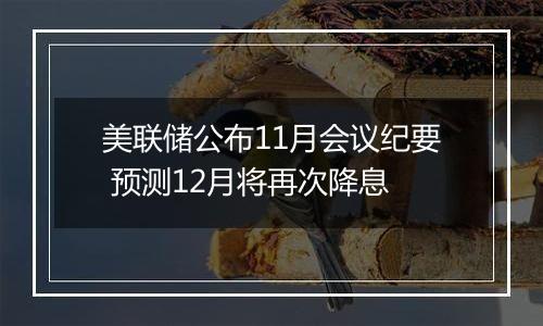 美联储公布11月会议纪要 预测12月将再次降息