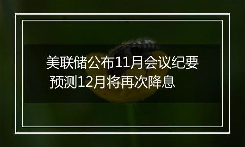 美联储公布11月会议纪要 预测12月将再次降息