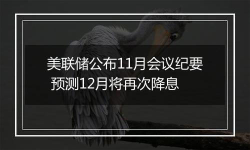 美联储公布11月会议纪要 预测12月将再次降息