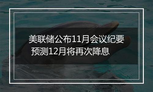 美联储公布11月会议纪要 预测12月将再次降息