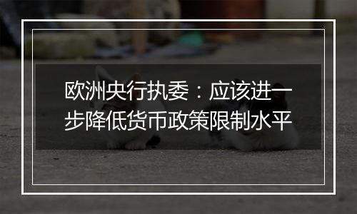 欧洲央行执委:应该进一步降低货币政策限制水平