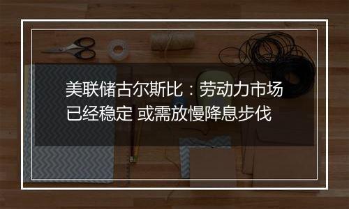 美联储古尔斯比：劳动力市场已经稳定 或需放慢降息步伐
