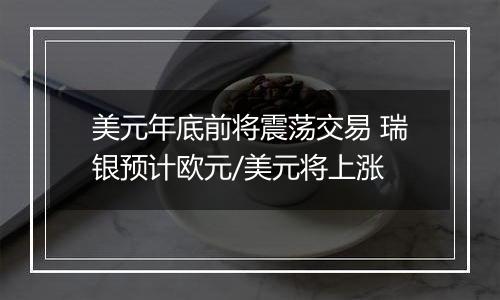 美元年底前将震荡交易 瑞银预计欧元/美元将上涨