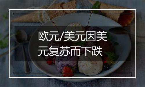 欧元/美元因美元复苏而下跌