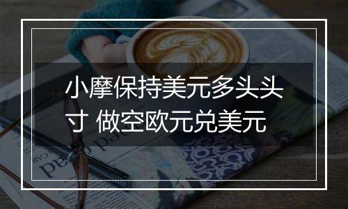 小摩保持美元多头头寸 做空欧元兑美元