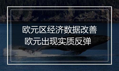 欧元区经济数据改善 欧元出现实质反弹