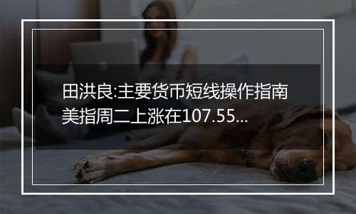 田洪良:主要货币短线操作指南 美指周二上涨在107.55之下遇阻