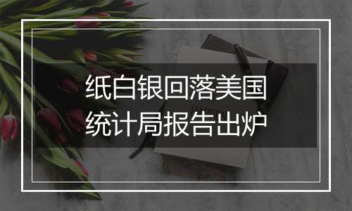纸白银回落美国统计局报告出炉