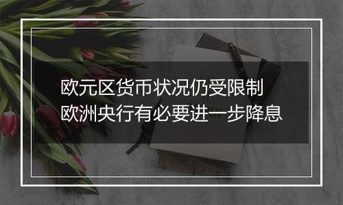 欧元区货币状况仍受限制 欧洲央行有必要进一步降息