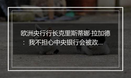 欧洲央行行长克里斯蒂娜·拉加德: 我不担心中央银行会被政治化