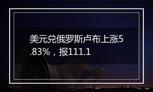 美元兑俄罗斯卢布上涨5.83%,报111.1