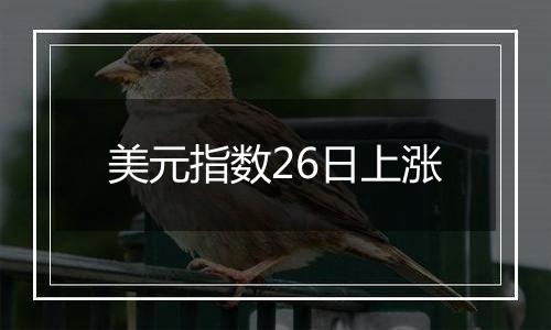 美元指数26日上涨