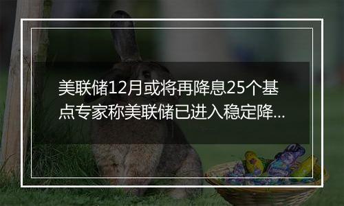 美联储12月或将再降息25个基点专家称美联储已进入稳定降息周期