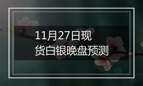 11月27日现货白银晚盘预测