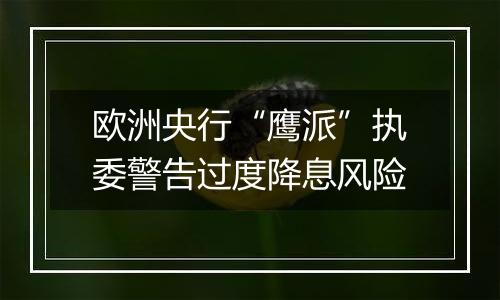 欧洲央行“鹰派”执委警告过度降息风险