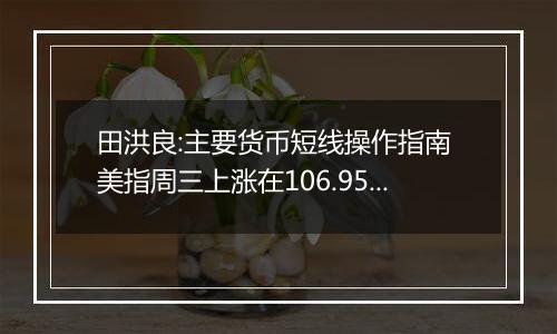 田洪良:主要货币短线操作指南 美指周三上涨在106.95之下遇阻