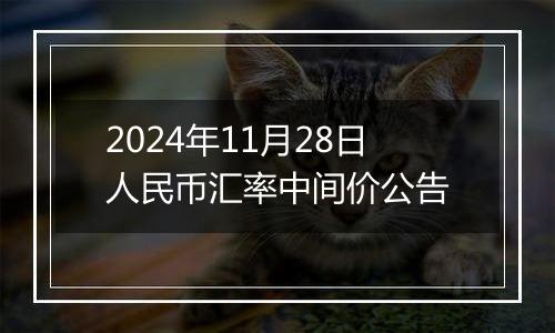 2024年11月28日人民币汇率中间价公告