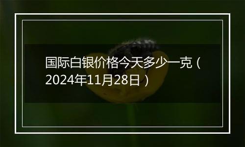 国际白银价格今天多少一克(2024年11月28日)